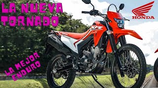 Honda XR 300 L TORNADO  PRECIO  TOP SPEED  FICHA TECNICA [upl. by Yticilef]