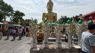 Tiger Park Jomtien Beach Big Buddha Pattaya Beach Nov24 [upl. by Luapnaes144]