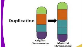 biology form 4 Mutation lesson 1 [upl. by Middendorf989]