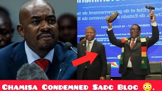 Chamisa Avhura Hombe ku Sadc  Demand Reforms After This 😳 [upl. by Aihsenrad]