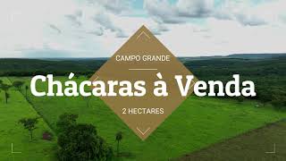 CHÁCARAS À VENDA EM CAMPO GRANDE MS [upl. by Asseralc]