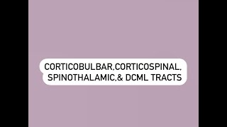 CORTICOBULBAR CORTICOSPINAL SPINOTHALAMIC AND DCML [upl. by Vijar966]