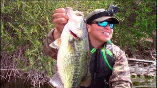 Puddingstone Lake Bass Fishing  EPIC DAY [upl. by Manwell143]