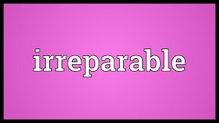 Irreparable Meaning [upl. by Nasho]