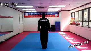 Taekwondo  Poomsae 1 Il Jang Slowmotion amp Mirror [upl. by Kepner]