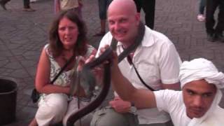 Djemaa el Fna Marrakech Morocco  Snake Charmer July 2010 [upl. by Yrral]