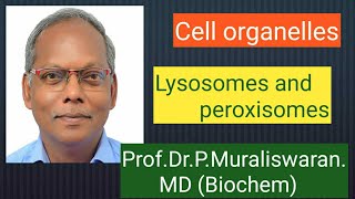 Lysosomes amp Peroxisomes Muralis Simplified Biochemistry [upl. by Nanni]