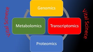 Metabolomics [upl. by Coltson565]