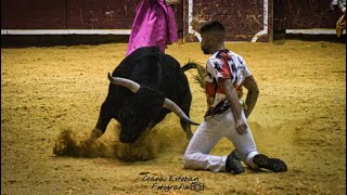 CONCURSO LA FLECHA 2024 VALLADOLID VII CAMPEONATO DE CORTES DE CASTILLA Y LEON GRAN FINAL [upl. by Nwahsek]