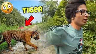 Tiger Ne Attack Kar Diya 😱 Sourav Joshi vlogs [upl. by Ianaj537]