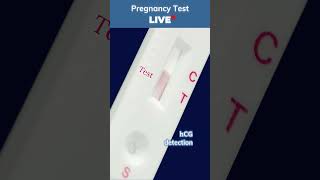 LIVE Pregnancy Test 🧪  How to use pregnancy test kit  Positive pregnancy test pregnancytest [upl. by Leasim]