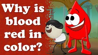 Why is blood red in color  aumsum kids science education children [upl. by Ybocaj320]