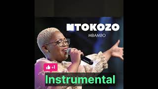 Ntokozo Mbambo when I remember INSTRUMENTAL [upl. by Oravla]