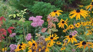 Sublimissime jardin de la Duchaylatière  🥰👍☀️♥️ [upl. by Anitneuq364]