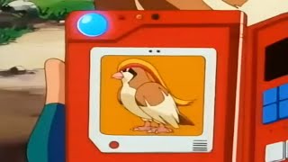 pokedex 018 Pidgeot [upl. by Howe]