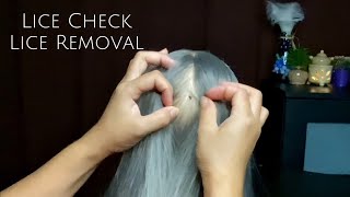 ASMR Satisfying Tingly Lice Check Lice Removal with comb  No Talking 😴💤🥱 [upl. by Eltrym]