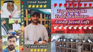 Top Quality ke Teddy ParindayUstad Javed Loft [upl. by Easlehc]