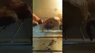 MARQ 48 LITER OVEN TESTING IN THIS VIDEO [upl. by Vins]