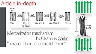 ARTICLE 1985 Mercerization mechanism by Okano amp Sarko quotParallel Antiparallel Cellulosequot [upl. by Gautea]