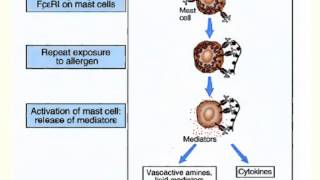 AllergySpecific Immunotherapy Allergy Shots [upl. by Alyakcm]