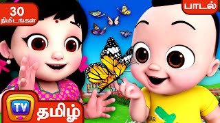 பட்டாம்பூச்சி பாடல்  Pattampoochi Butterfly – ChuChu TV Baby Songs Tamil  Rhymes Collection [upl. by Nomor]