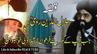 Peer Naseer ud Din Naseer  Story of Jalaluddin Rumi  Peace Tube [upl. by Seidule815]