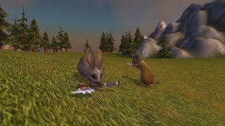 Wow Easter Egg The Great Critter War [upl. by Micky]