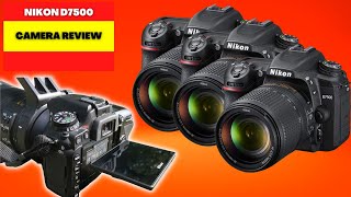 NIKON D7500 CAMERA REVIEW 2023 BEST PROFESSIONAL CAMERA FOR BEGINNERS [upl. by Eal786]