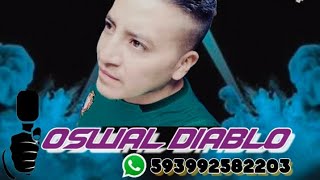 POWER MIX 2024 DARÍO DJ RMX ANIMACIÓN OSWAL DIABLO👿😈 MINI SET CUMBIA POWER [upl. by Giulietta]