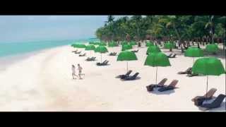 THAILAND  Remote beaches amp colourful reefs from Khao Sok to Koh Lipe  4K Cinematic Travel Video [upl. by Issiah]