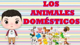 🐶 video educativo de los animales domesticos para niños 🐱 [upl. by Sarson]