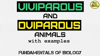 Viviparous amp Oviparous Animals [upl. by Ahsika]