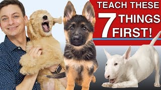 How to Teach The First 7 Things To Your Dog Sit Leave it Come Leash walking Name [upl. by May598]