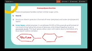 Polysaccharides 1 [upl. by Anma]