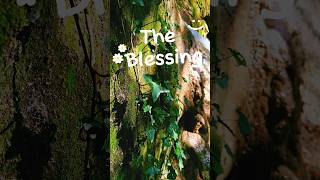 The Blessing  Elevation Worship theblessings sense schwarzenburg [upl. by Stacey]