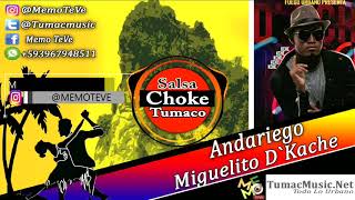 Andariego  Salsa Choke 2020  Miguelito D´Kche  MemoDj El Promotor [upl. by Alwyn]