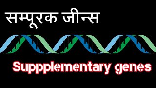 Supplementary genes। सम्पूरक जीन्स [upl. by Eidua]