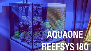 Aquaone Reefsys 180 and Red sea max nano [upl. by Keung]