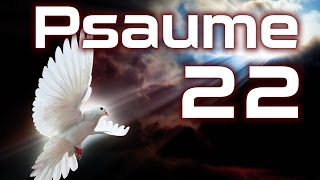 Psaume 22  Un cri dangoisse et un chant de louange HD [upl. by Jc720]