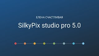 SilkyPix studio pro 50 обзор основных функций rawконвектора fujifilm [upl. by Enelak]