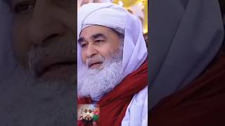 Kin parindon ki beat paak hoti hai maulana ilyas qadri dawateislami [upl. by Denbrook]