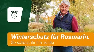 Winterschutz für Rosmarin Was ihr beachten solltet [upl. by Asiral]