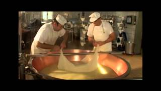 Parmigiano Reggiano Dop fasi di lavorazione [upl. by Alaunnoif]