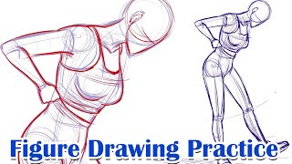 Female anatomy body drawing [upl. by Kissel]