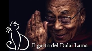 David Michie  Il gatto del Dalai Lama [upl. by Islek]