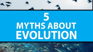 5 Common Myths About Evolution  Mashable [upl. by Stronski]