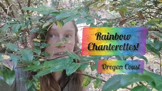 quotRainbow Chanterellesquot  summer chanterelles Oregon coast [upl. by Ecinaj914]