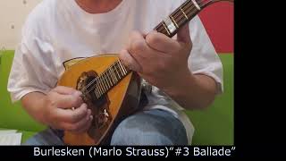 【Mandolin】Burlesken Marlo Strauss “4 Spanischer Tanz” [upl. by Airehc638]