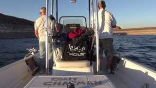 Fishing Diamond Valley Lake Striped Bass The Reel Brothers Presents [upl. by Kiefer]