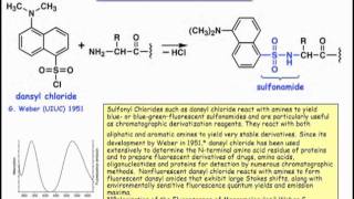 Identifying the NTerminus of a Polypeptide [upl. by Kcire]